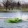 Pro Boat - Miss GEICO Zelos 36 Twin Brushless Catamaran RTR (PRB08040)