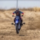 Losi - 1/4 Promoto-MX Motorcycle RTR Club MX (LOS06000T2)