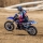 Losi - 1/4 Promoto-MX Motorcycle RTR Club MX (LOS06000T2)
