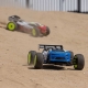 Losi - 1/8 8IGHT-XTE 4WD Sensored Brushless Racing Truggy RTR (LOS04020)