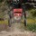 Losi - 1/6 8IGHT-X Super Lasernut 4WD Brushless Buggy RTR (LOS04019)