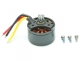 FliteZone Hauptmotor MD500 (15977)