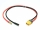 Pichler Ladekabel XT60 -> 4.0 mm Gold (18307)