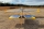 ExtremeFlight - 88" Raven - Yellow/Blue 2,24m (A430YB)