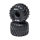 Losi - MT Tires Black Beadlock Premounted (2): Mini LMT (LOS-2060)