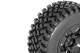 Hobbytech - DB8SL und Short Course Reifen fertig verklebt...