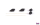 Flexiverbinder Antenne - S