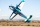AJ Aircraft - 103" Extra SX ARF - Blau 2,61m (AJ0015TB)