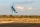 AJ Aircraft - 103" Extra SX ARF - Blau 2,61m (AJ0015TB)