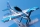 Savage MAX V2 Shockflyer blau - 1080mm