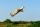 OMP - 67" Extra NG ARF - Grün 1,7m (OMPP011GRB)