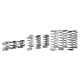 Yeah Racing - Desert Lizard DDL 90mm Spring Set (YR-DDL-001)