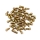 Yeah Racing - Steel Hexagon Head Bolts Beadlock Rim Screw M2 X 4mm 50pcs (YR-YA-0691)
