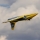 E-flite® Habu XS (eXtra Sport) 80mm EDF BNF Basic