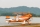 73" Pitts S2B orange - 1850mm