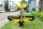 73" Pitts S2B gelb - 1850m