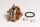 AXI 2203/RACE SAVER V2 Brushless-Motor (3EL105520V2S)