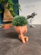 Hydroponic Krafty Robert Planter - Mizaru