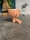 Hydroponic Kratky Robert Planter - Mizaru