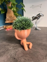 Hydroponic Krafty Robert Planter - Kikazaru