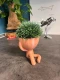 Hydroponic Krafty Robert Planter - Kikazaru