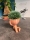 Hydroponic Krafty Robert Planter - Kikazaru