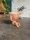 Hydroponic Krafty Robert Planter - Kikazaru