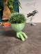 Hydroponic Kratky Robert Planter - Innocent