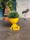 Hydroponic Krafty Robert Planter - Relaxed