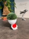 Hydroponic Krafty Robert Planter - Heart