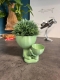 Hydroponic Krafty Robert Planter - Double