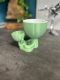 Hydroponic Kratky Robert Planter - Double