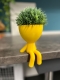 Hydroponic Kratky Robert Planter - Edge