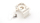 Modster - Luftschraubenmitnehmer Bigfoot (MD11437)