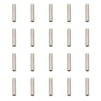LC Racing - Stifte 2x9.8mm 20 Stück (LCSK24)