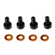 LC Racing - Schrauben Innensechskant M2x4 mit Beilagen...