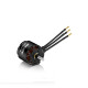 Hobbywing - Platinum Motor 60x94 8mm 5230SL 380kV 6-8s Lipo (HW30416202)