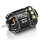 Hobbywing - Xerun V10 Brushless Motor G4R (2-3s) 13.5T Sensored für 1:10 (HW30401749)