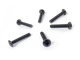 Himoto - Cap Head Screws 2.5*14 6P (HM21046)