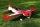 60" Game Bird EXP V2 rot- 1520mm