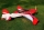 60" Game Bird EXP V2 rot- 1520mm