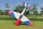 91" Laser EXP V2 rot/weiß/blau - 2310mm