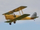 Pichler Tiger Moth DH.82 (Laser Cut Kit) / 1500 mm (15995)