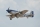 Phoenix Mustang P51 GP/EP 61CC SCALE 20% ARF Carbon - 2220mm