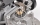 ZENOAH - Drag Seals replacement rings (FG07303/02)