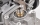 ZENOAH - Drag Seals replacement rings (FG07303/02)