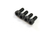ALPHA POWER - Backplate Cover Screw (4pcs) (ALE40-BU02100)