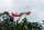 FMS - Giant P-51D Mustang ARF 1700mm (4ST19080-AR)
