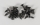 FG - Senk-Blechschraube 4,2x13 mm, 20 Stück (FG06712/13)