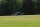 FMS - F4U Corsair (V2) RTF 800mm - Mode 2 (4ST19002RTF2)